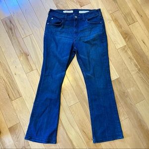 Anthro Pilcro high rise bootcut jeans size 30